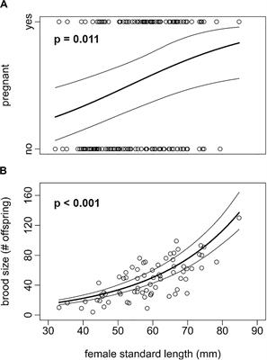 High Degree of Multiple Paternity and Reproductive Skew in the Highly Fecund Live-Bearing Fish Poecilia gillii (Family Poeciliidae)